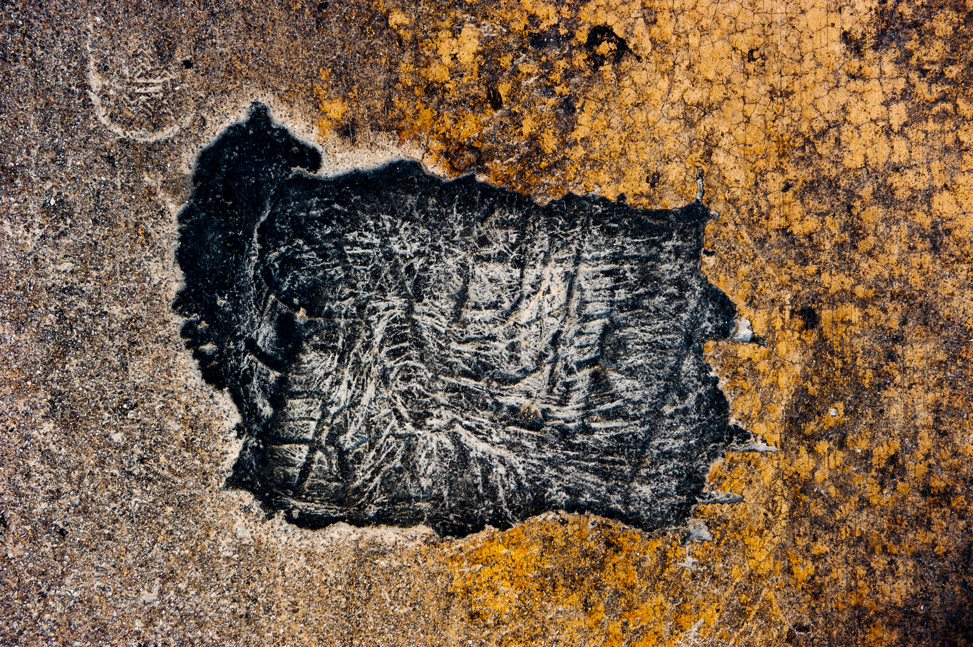 DSC 5635